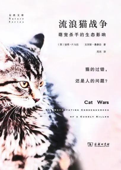 《流浪猫战争》