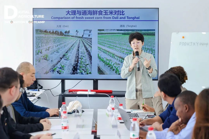 ▲中国农业大学副教授金可默向海内外农创客代表介绍养分智慧管控平台。傅俊豪|摄