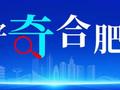 罕见！“森林凤凰”现身合肥这里