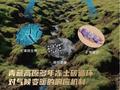 2024年度中国生态环境十大科技进展发布