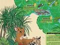 《海口市生物多样性地图》发布 系统整合海口陆海全域生态数据