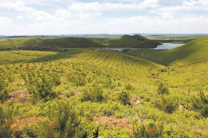 北票市长皋乡小四家子村水库东山（治理后）徐迪摄