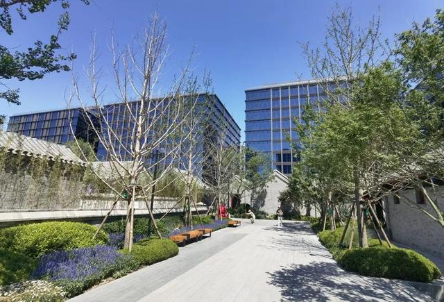 图为大吉巷的街边一景。新华社记者 吉宁 摄