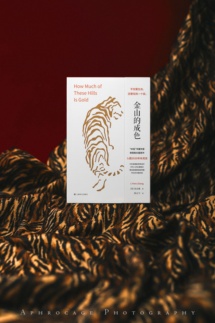 《金山的成色》书影