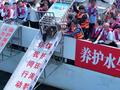 养得肥墩墩的！9头斑海豹今天放归大海