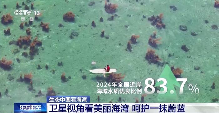 海湾“变美”关键在哪?看中国方案呵护一抹蔚蓝