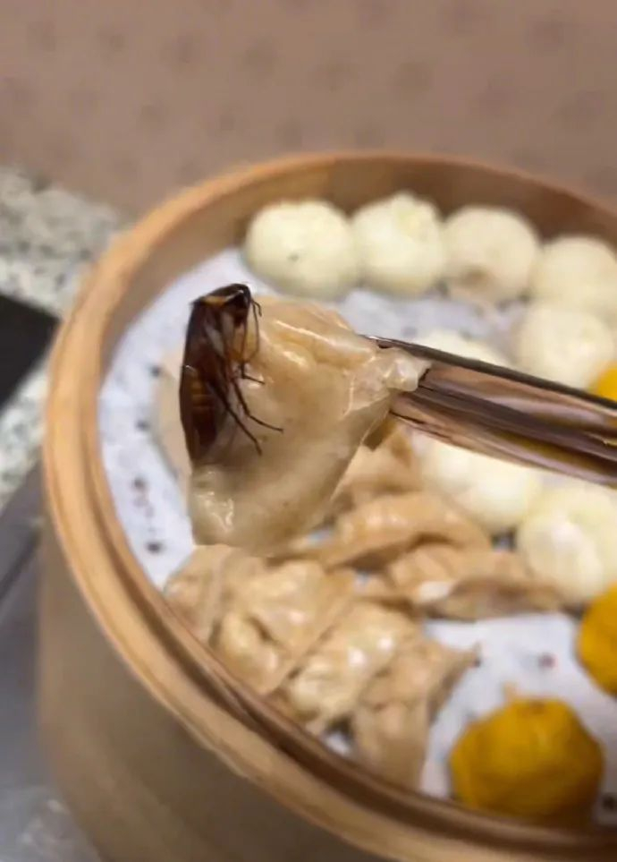   钟女士拍摄的问题餐食图片