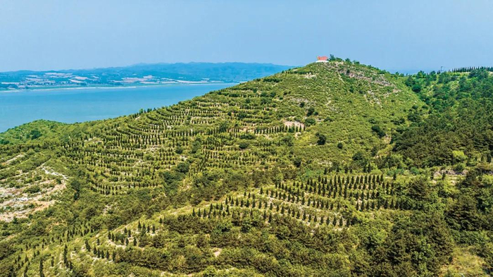 北票市龙溪谷流域综合治理潘大为摄