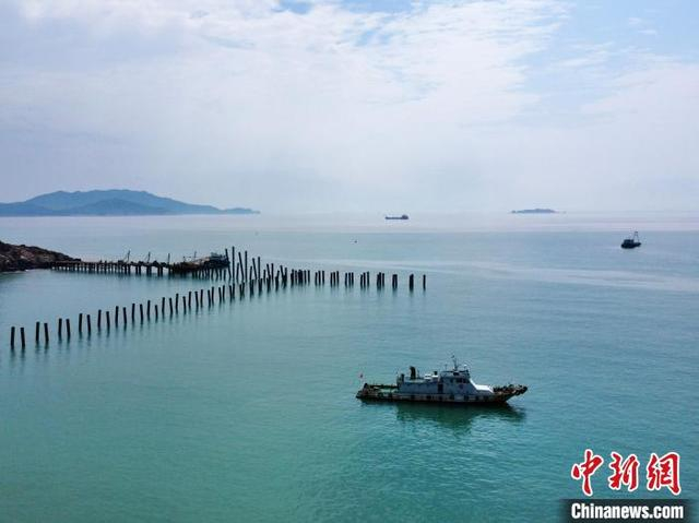 图为6月4日，航拍浙江省舟山普陀东部海域桃花岛国家级海洋牧场示范区。刘子琳 摄