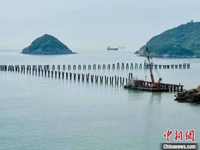 图为6月4日，浙江省舟山普陀东部海域桃花岛国家级海洋牧场示范区。 中新社记者 张斌 摄