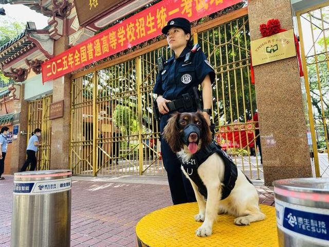 在培正中学门口，考点门口安排了警犬值守。中青报·中青网记者 林洁/摄