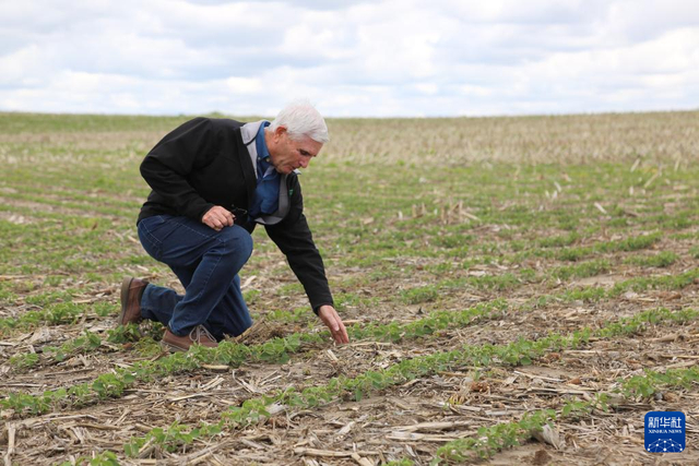 5月22日，在美国艾奥瓦州，比尔·佩利特查看种植的农作物。新华社记者 刘亚南 摄