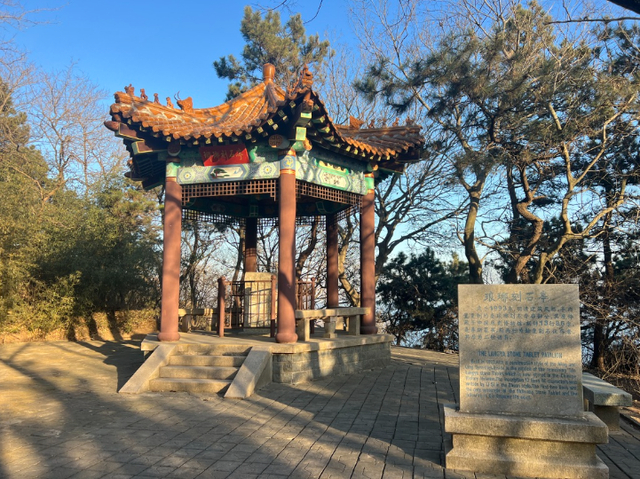 来源：综合自九派新闻、青岛琅琊台景区、新华社、半岛全媒体（记者 张文艳）、半岛都市报