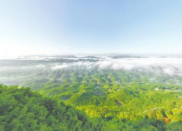 　　长宁县蜀南竹海与云海。