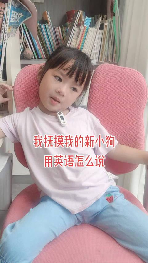 我抚摸我的新小狗，用英语怎么说？