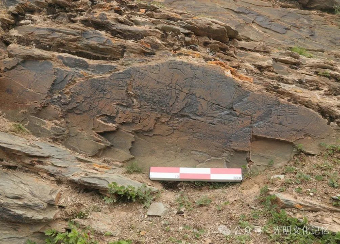 石刻照片。来源：微信公众号光明文化记忆