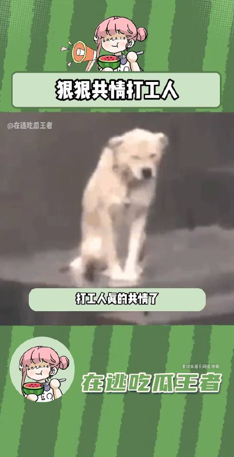 打工人真的狠狠共情