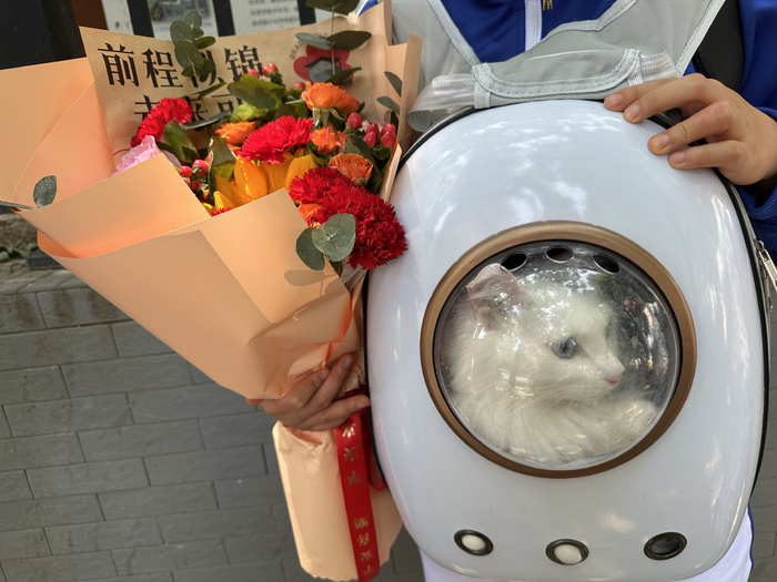 家长带宠物猫一起迎接考生。 新京报记者 刘洋 摄