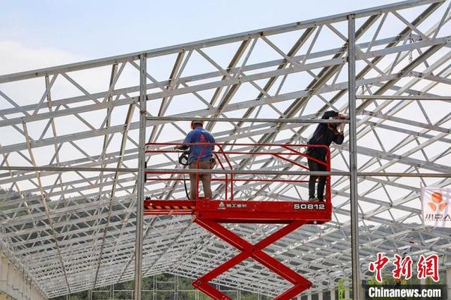 施工人员正头顶烈日进行鸡舍钢结构安装。 段云雷 摄
