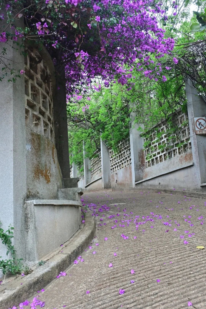 图源@小红书日光微暖爱倾