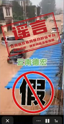 网民发布的不实视频截图 