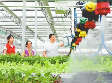 在达州市达川区双庙镇二东村“数字育苗工厂”，技术员利用智能灌溉系统进行辣椒秧苗喷淋作业。邓良奎摄（C视觉）