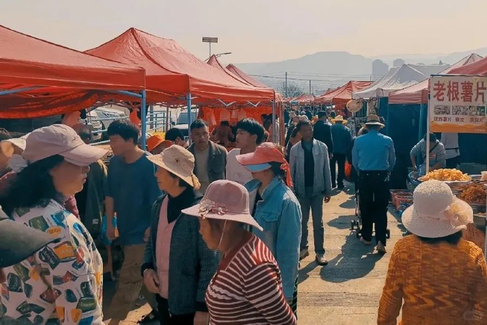 图源@小红书啤加奶