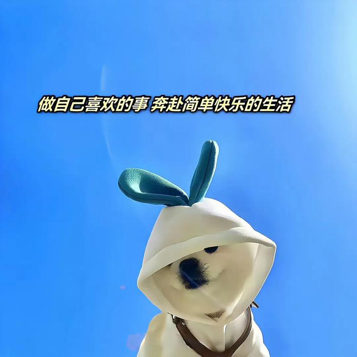 希望你开心,无论和谁,无论在哪