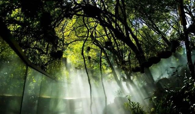 图为杨柳井乡六郎城景区