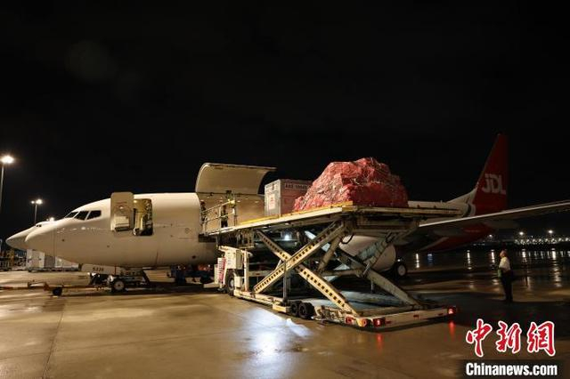 深圳机场开设“荔枝专线”。 邓念松 摄