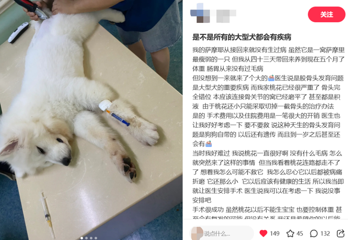 图源：小红书截图