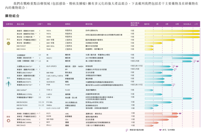 东阳光药主要药物及在研药物在内的药物组合，图片来源：企业招股书
