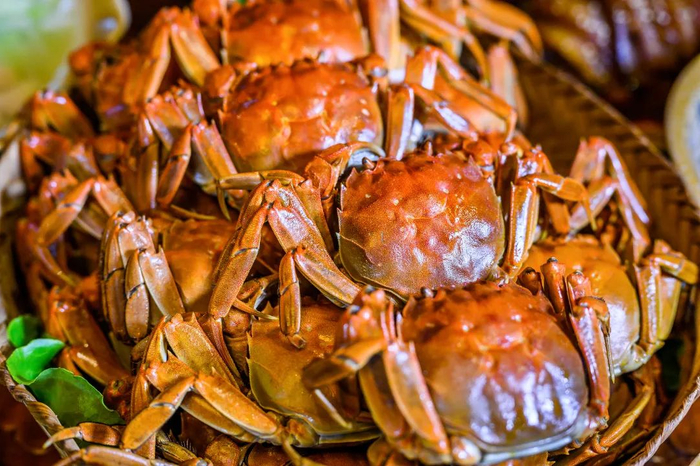 宝秀大闸蟹  孔祥敏 摄