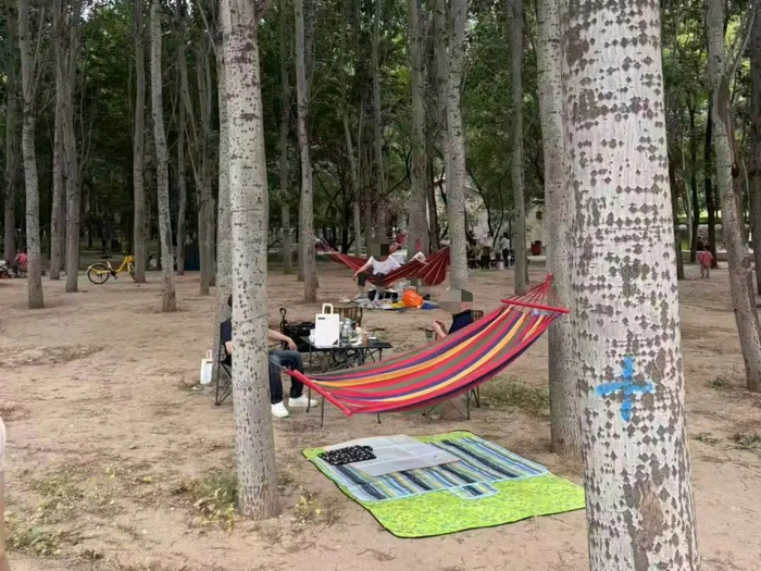 ▲到处都是起床气（特别提示：切勿不合规搭吊床）