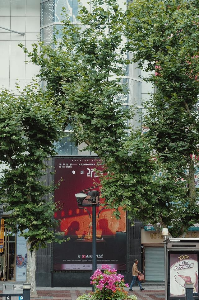 城市中随处可见的SIFF 元素 实习生 周泽洋 图