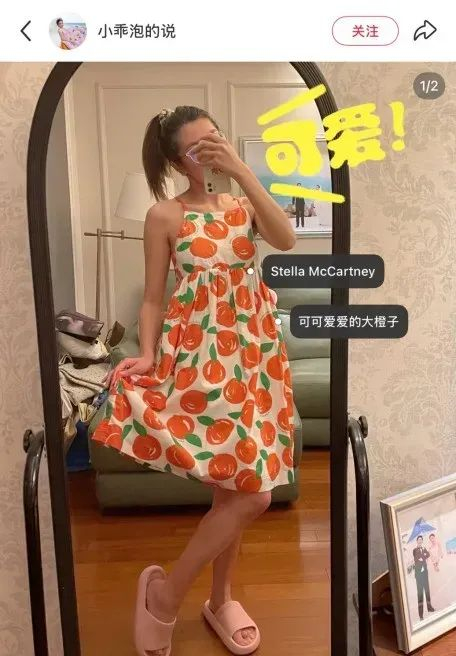 图源：小红书博主@小乖泡的说