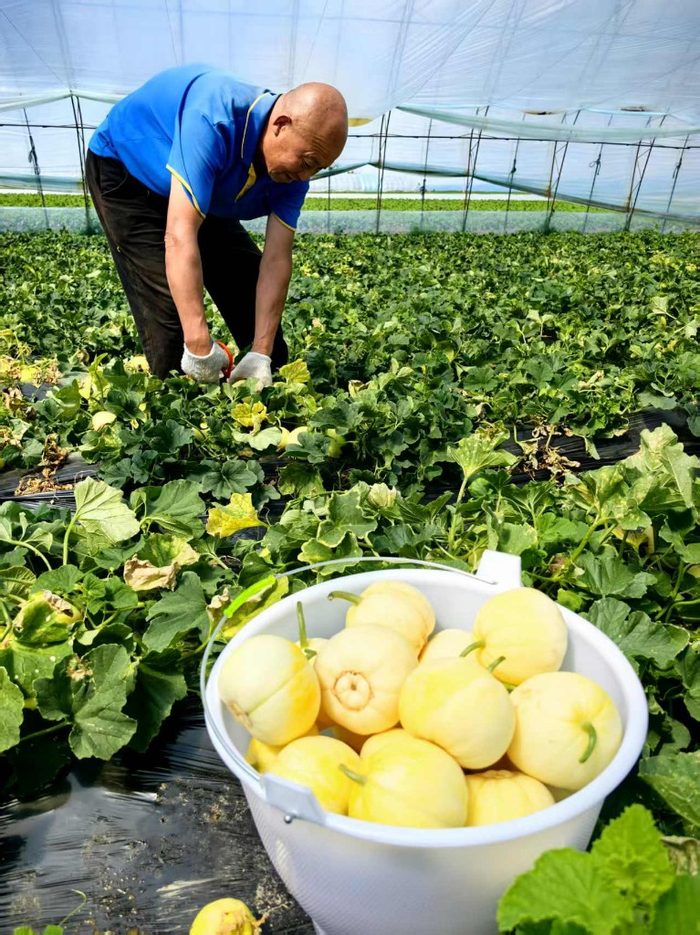 图源：龙头新闻