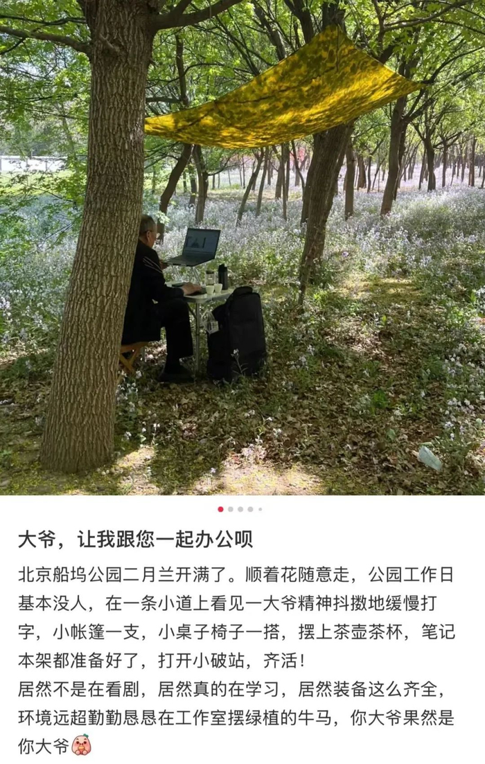 ▲图源：到处瞧瞧