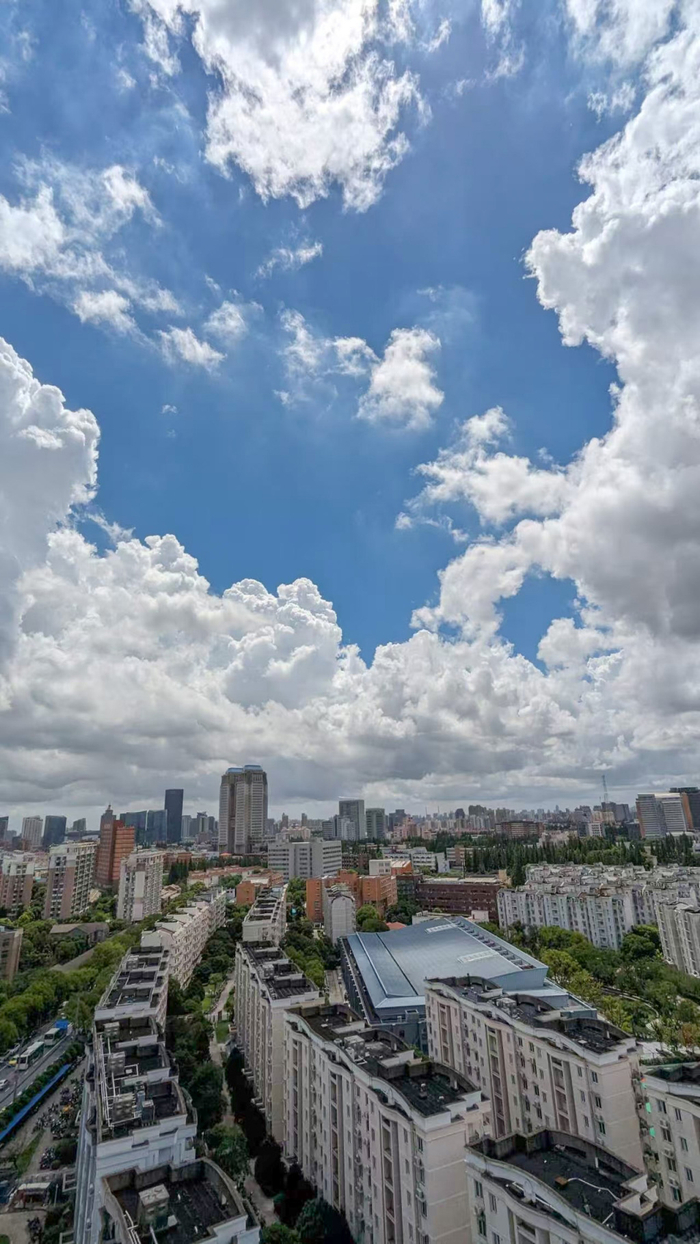 我在复旦大学读书，这是我曾住过的宿舍窗户外的风景。