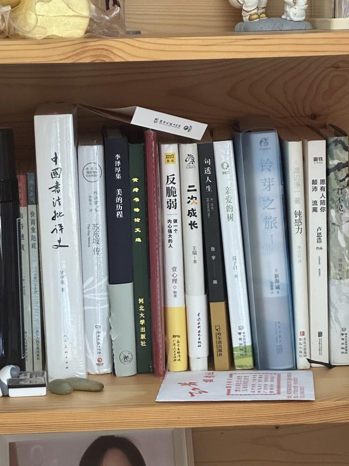 李冰瑶书架上的书。