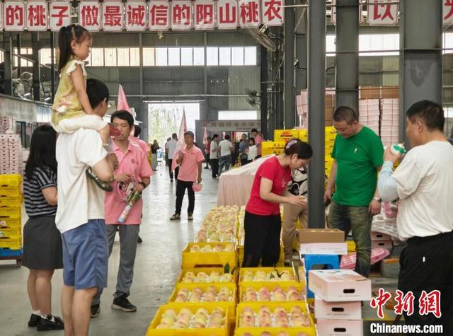 周边城市的民众也闻着桃香而来，走进市场采购阳山水蜜桃。孙权 摄