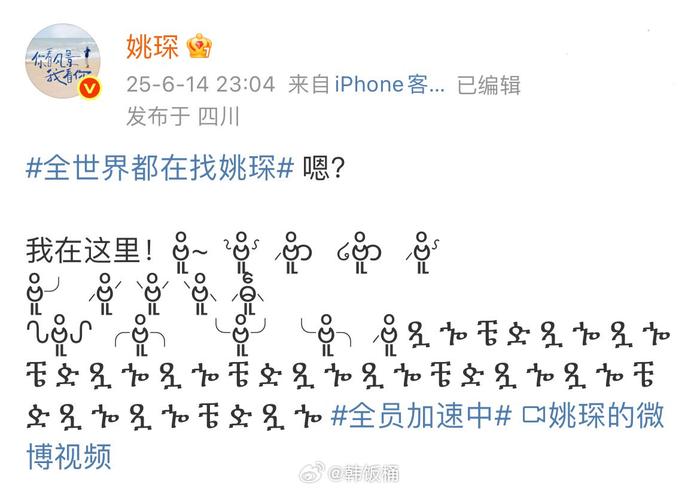 全球寻找姚琛行动圆满结束