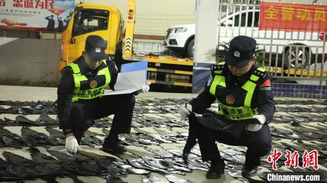 图为民警对查获的走私鳄鱼皮进行清点查验。游辉 摄