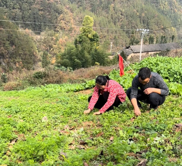 图为熊琴和她的丈夫正在田间地头干农活。受访者供图
