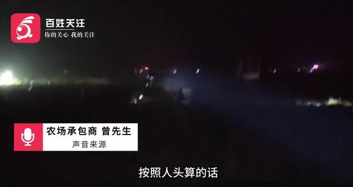 相关视频报道截图