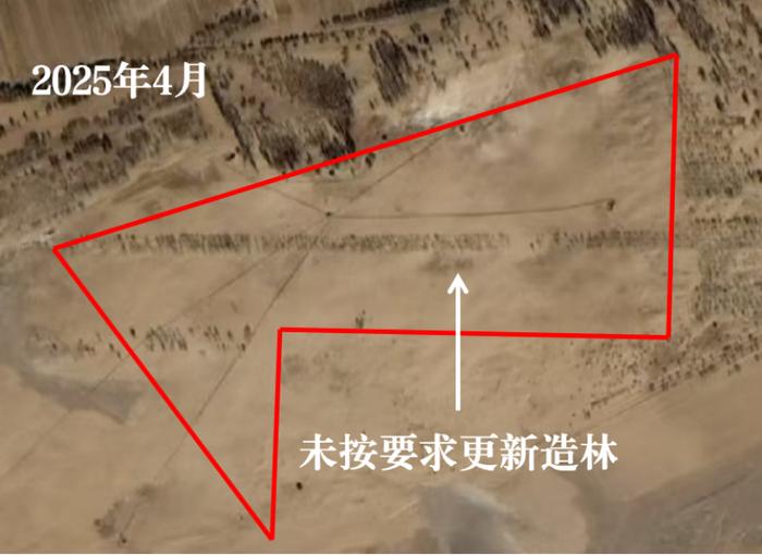 2025年4月3日,督察组暗查发现,森泽农业公司采伐林木920余亩,未按规定更新造林。