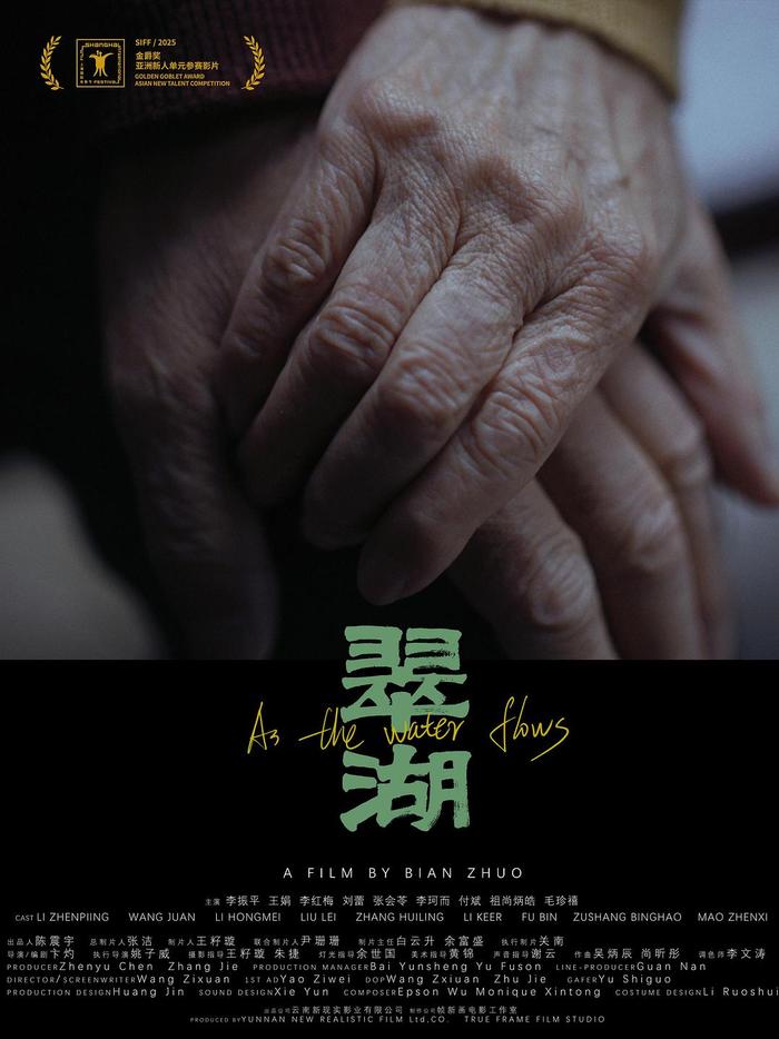 《翠湖》海报