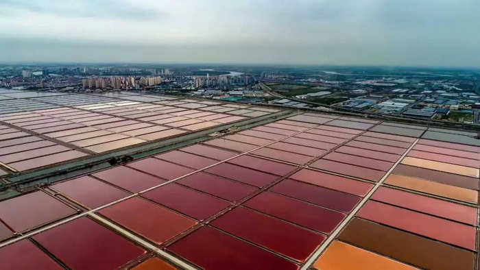 图为天津长芦汉沽盐场七彩盐田。受访者提供。