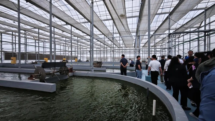 图为参会代表正在参观制盐生产车间。