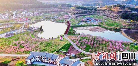 古楼镇充国香桃源景区。 西充县委报道组供图